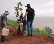 Ações elaboradas pelo IAT no Estado recuperaram mais de 6 hectares de mata ciliar em Áreas de Proteção Ambiental (APP)