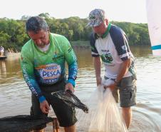Novo ciclo do projeto Rio Vivo vai soltar 2,6 milhões de peixes nativos nas bacias do Paraná a partir deste mês