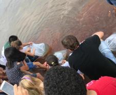 Novo ciclo do projeto Rio Vivo vai soltar 2,6 milhões de peixes nativos nas bacias do Paraná a partir deste mês
