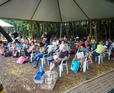 Na nova temporada do CastraPet Paraná, Guaíra recebeu 196 castrações nesta sexta-feira (1º)