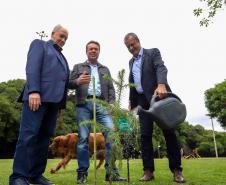 MON se transforma na casa da "muda 10 milhões" do programa Paraná Mais Verde