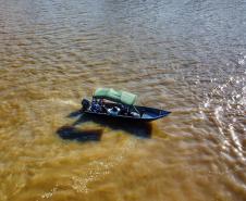 Nova fase do Rio Vivo começa com a soltura de 100 mil peixes no Rio Ivaí, no Noroeste