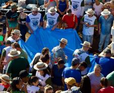 Nova fase do Rio Vivo começa com a soltura de 100 mil peixes no Rio Ivaí, no Noroeste