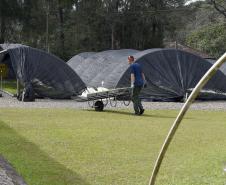 Paraná Mais Verde versão 2025 terá o início da reestruturação dos viveiros e laboratórios de sementes administrados pelo IAT