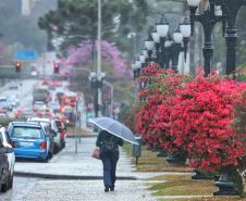 Chuva do fim de semana supera em até 84% a média mensal em algumas regiões do Paraná