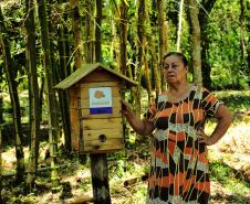 IAT começou a instalar placas educativas para preservar a fauna nativa da Ilha do Mel