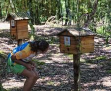 IAT começou a instalar placas educativas para preservar a fauna nativa da Ilha do Mel