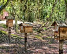 IAT começou a instalar placas educativas para preservar a fauna nativa da Ilha do Mel