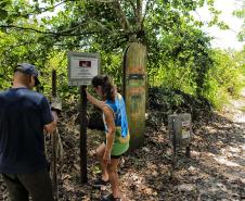 IAT começou a instalar placas educativas para preservar a fauna nativa da Ilha do Mel