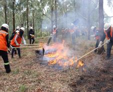 Voluntários podem se inscrever para curso de brigadista florestal