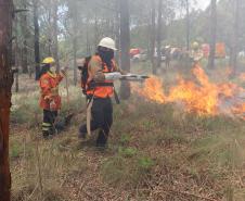 Voluntários podem se inscrever para curso de brigadista florestal
