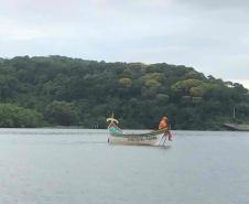Um dia após a proibição da pesca, agentes do IAT recuperam 13 quilos de camarão em Guaraqueçaba
