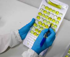 Composto por três laboratórios, a estrutura do IAT faz análises regulares de amostras de água, solo, sedimentos e peixes para a identificação de contaminantes e poluentes