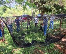 IAT começa a instalar armadilhas móveis para captura de javalis em Unidades de Conservação
