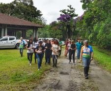 Voluntários participaram da ação de educação ambiental no Parque Estadual do Palmito, em Paranaguá, no Litoral do Paraná