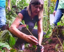 Voluntários participaram da ação de educação ambiental no Parque Estadual do Palmito, em Paranaguá, no Litoral do Paraná
