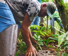 Voluntários participaram da ação de educação ambiental no Parque Estadual do Palmito, em Paranaguá, no Litoral do Paraná