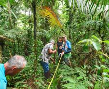 Voluntários participaram da ação de educação ambiental no Parque Estadual do Palmito, em Paranaguá, no Litoral do Paraná