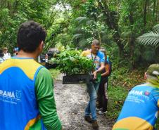 Voluntários participaram da ação de educação ambiental no Parque Estadual do Palmito, em Paranaguá, no Litoral do Paraná
