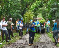 Voluntários participaram da ação de educação ambiental no Parque Estadual do Palmito, em Paranaguá, no Litoral do Paraná