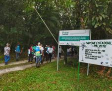 Voluntários participaram da ação de educação ambiental no Parque Estadual do Palmito, em Paranaguá, no Litoral do Paraná