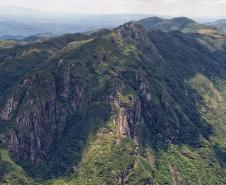 Levantamento do Instituto Água e Terra (IAT) revelou que o Paraná reduziu em 73% o desmatamento ilegal em 2024