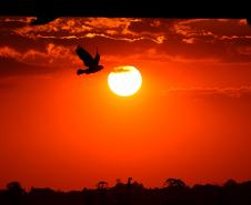 Chuvas perdem força e temperaturas seguem altas em março no Paraná, prevê Simepar