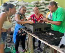 Um Dia no Viveiro: ação em Morretes mostra como é produção de mudas do IAT