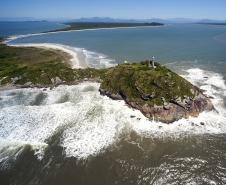 honey island and the monk