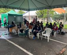 rede apoio castrapet