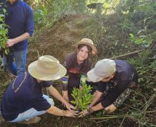 Dia Mundial da Água: mudas do IAT regeneram 264 hectares de mata ciliar