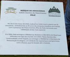 EVENTO
