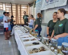 Dia Mundial da Água: mudas do IAT regeneram 264 hectares de mata ciliar