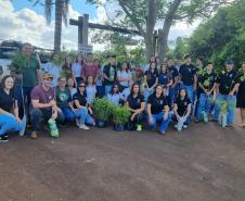 Dia Mundial da Água: mudas do IAT regeneram 264 hectares de mata ciliar