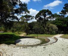 honey island and the monk