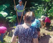Dia Mundial da Água: mudas do IAT regeneram 264 hectares de mata ciliar