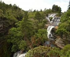 Parque Estadual Vale do Codó, em Jaguariaíva: preservação ambiental como estratégia para conter as mudanças climáticas, tema da 5ª Conferência Estadual do Meio Ambiente.