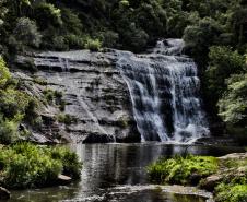 Parque Estadual Vale do Codó, em Jaguariaíva: preservação ambiental como estratégia para conter as mudanças climáticas, tema da 5ª Conferência Estadual do Meio Ambiente.