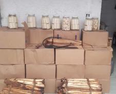 IAT apreende 318 quilos de palmito industrializado de maneira clandestina