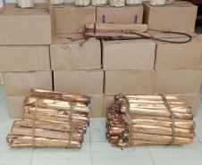 IAT apreende 318 quilos de palmito industrializado de maneira clandestina