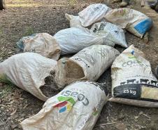 Operações comandadas pelo IAT durante o período de defeso da Piracema resultam em 44 quilos de peixes apreendidos e R$ 127 mil em multas.