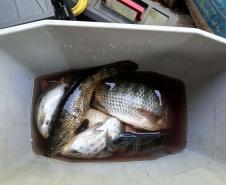 Operações comandadas pelo IAT durante o período de defeso da Piracema resultam em 44 quilos de peixes apreendidos e R$ 127 mil em multas.