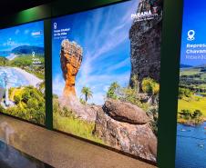 Com expositores e materiais em inglês, Paraná marca presença na WTM Latin America