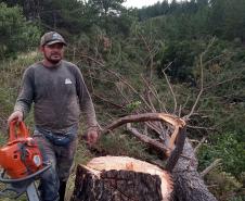 Ação coordenada pelo IAT e pela Iniciativa Campos Gerais promoveu o corte de pinus no Parque Estadual do Vale do Codó, em Jaguariaíva