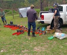 Ação coordenada pelo IAT e pela Iniciativa Campos Gerais promoveu o corte de pinus no Parque Estadual do Vale do Codó, em Jaguariaíva