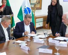 Novo marco regulatório da Ilha do Mel avança com instituição de comitê gestor
