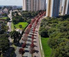 Previsão do Simepar é de maio mais seco e mais quente no Paraná