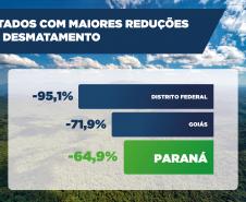 DESMATAMENTO