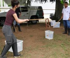formação voluntários