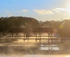 Primeira onda de frio chega ao Paraná semana que vem com termômetros perto de 0ºC